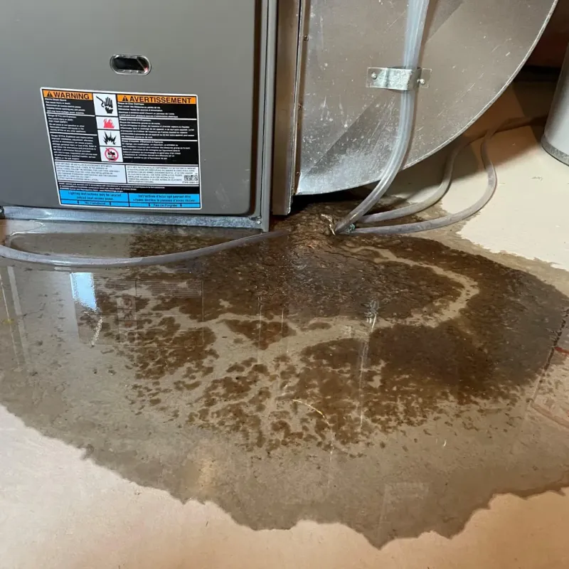 Appliance Leak Cleanup in North Bibb, AL